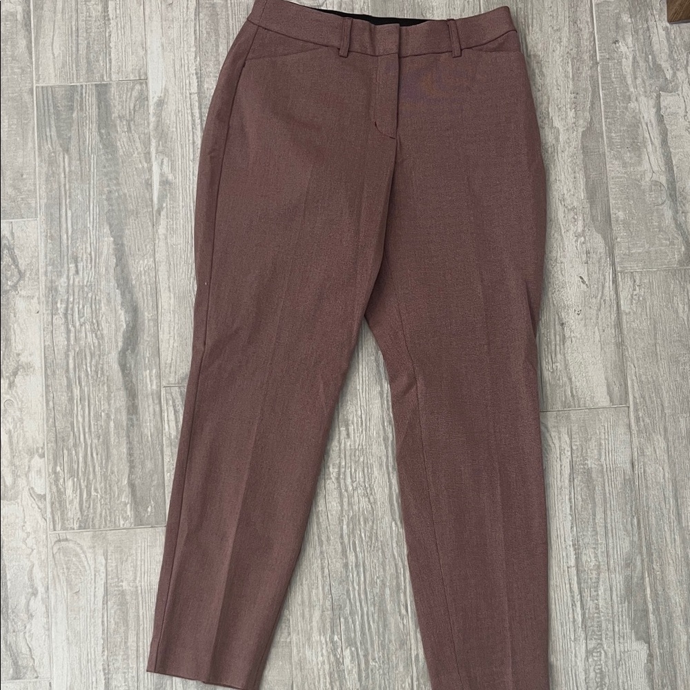 Express Tailored Flat-Front Dress Pants in Mauve